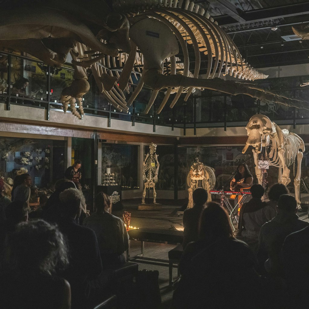 Skeletons: Museum of Osteology Sofar show