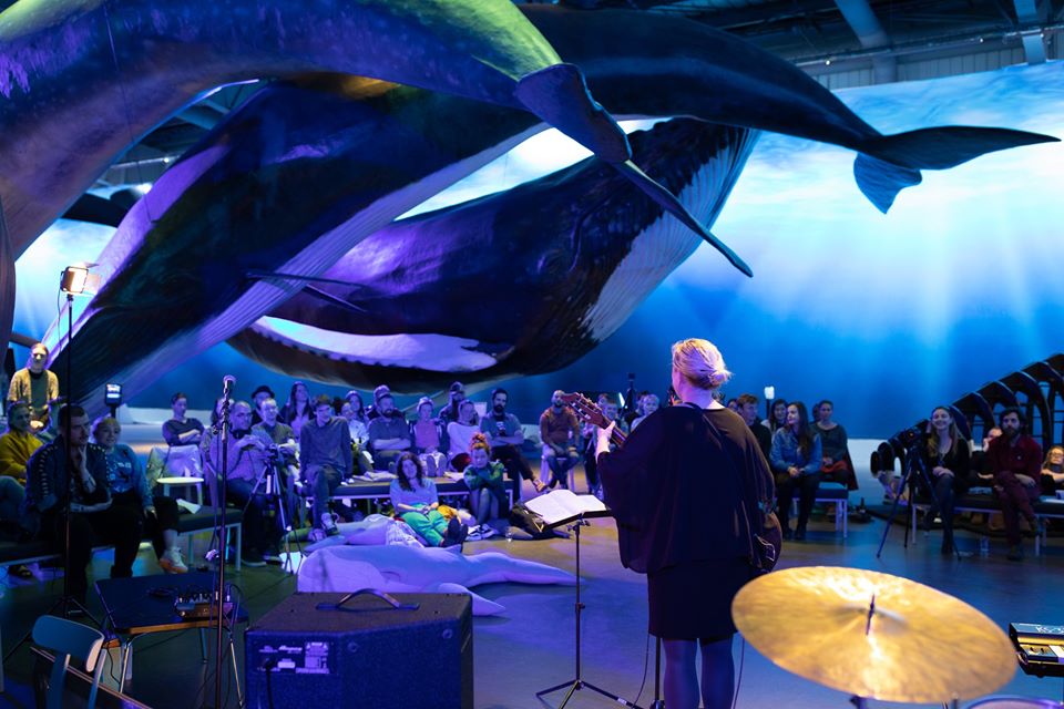 Sofar Reykjavik at the Whales of Iceland Museum, in Reykjavik, Iceland.