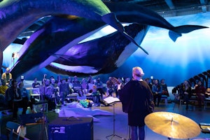 Sofar Reykjavik at the Whales of Iceland Museum, in Reykjavik, Iceland.